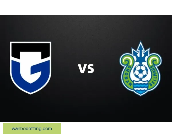 精准足球赛事预测与竞猜投注策略全解析指南